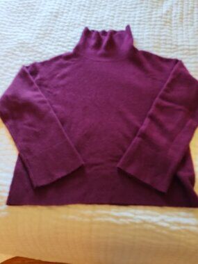 Alex Mill Berry Wine 100% Cashmere Turtleneck Oversized Small